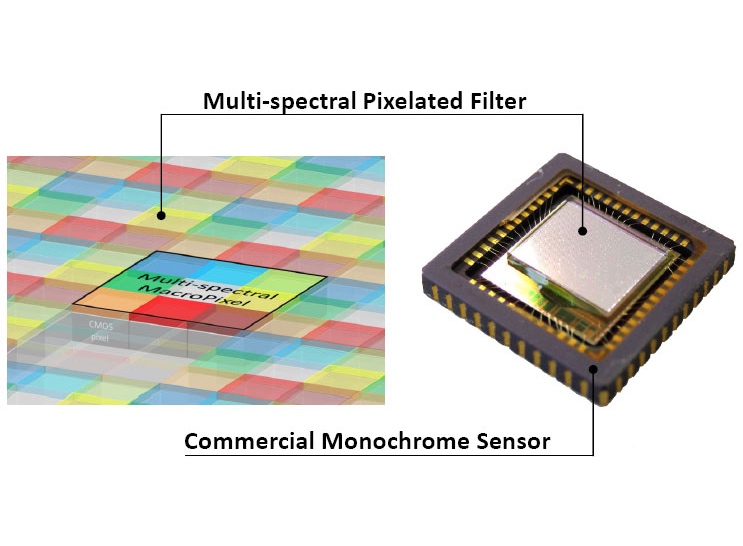 Multispectral filter